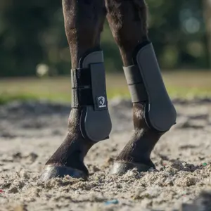 Guêtres ouvertes pour cheval neoprene doublé dime HORKA image-1