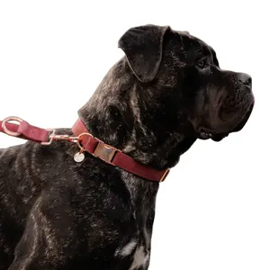 Honden halsband van velours Horka image-1