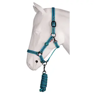 Ensemble licol pour cheval HORKA image-0