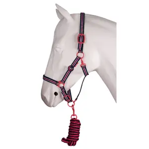 Ensemble licol pour cheval HORKA image-0