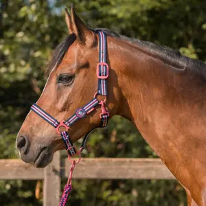 Ensemble licol pour cheval HORKA image-1