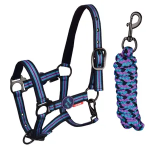 Ensemble licol pour cheval HORKA Magical image-0