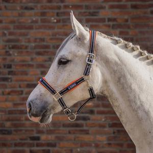 Zestaw kantar i uwiąz dla koni Horka KNHS image-1