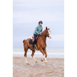 Zip-up fleece riding jacket Horse Pilot Essential image-2