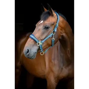 Αχαρνές για άλογο από νάιλον HorseGuard Cole image-1