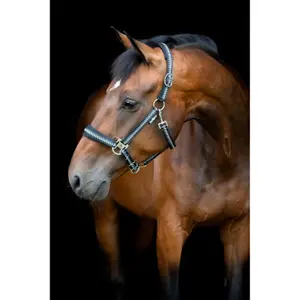 Αχαρνές για άλογο από νάιλον HorseGuard Cole image-3