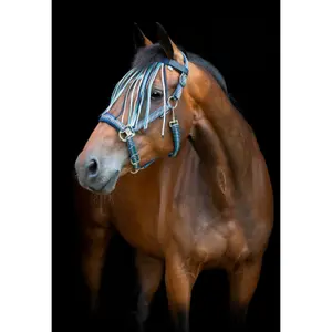 Μπροστινή αντι-μύγα για άλογα HorseGuard Cole Fringe image-1