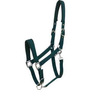 50439020117-licol-pour-cheval-horseguard-diya-2-0-ponderosa-pine