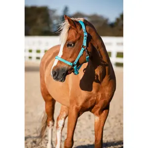 Καπίστρι για άλογο HorseGuard Malva image-1