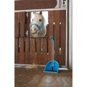 Καπίστρι για άλογο HorseGuard Malva image-3