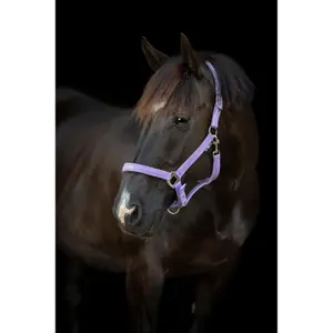 Καπίστρι για άλογο HorseGuard Malva image-1