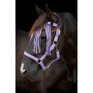 Καπίστρι για άλογο HorseGuard Malva image-4