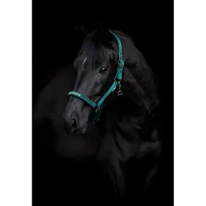 Halfter für Pferd HorseGuard Sandra image-1