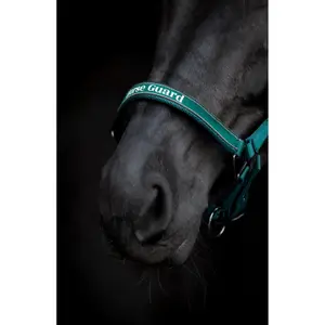 Halfter für Pferd HorseGuard Sandra image-2