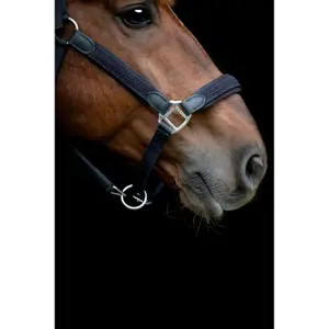 Cabestro trenzado para caballo HorseGuard Vardia image-2