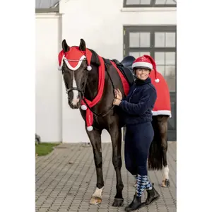 Scarf HorseGuard Chistmas image-1