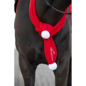 Scarf HorseGuard Chistmas image-2