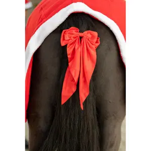 Ponytail braids HorseGuard Chistmas image-1