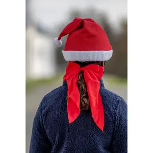 Ponytail braids HorseGuard Chistmas image-2