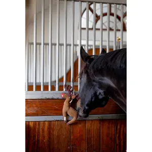 Παιχνίδι για άλογο HorseGuard Reindeer image-2