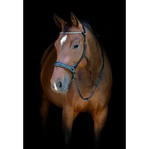 Σχοινιά χωρίς μάσκες HorseGuard image-1