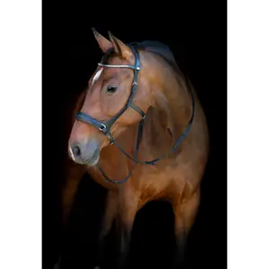 Σχοινιά χωρίς μάσκες HorseGuard image-2