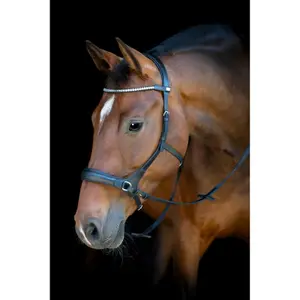 Σχοινιά χωρίς μάσκες HorseGuard image-3