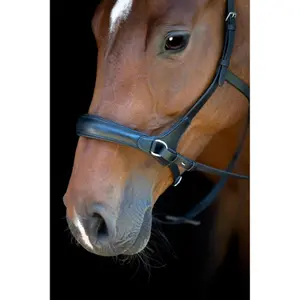Σχοινιά χωρίς μάσκες HorseGuard image-4