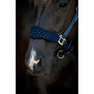 Nylon headcollar for horse HorseGuard Anabel image-2