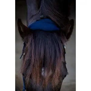 Nylon headcollar for horse HorseGuard Anabel image-3