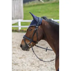 Cuffietta corta per cavalli HorseGuard Glitter image-1