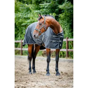 Εξωτερικό κάλυμμα για άλογο HorseGuard Aron 600D image-2