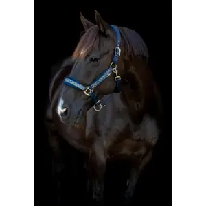 Nylon Halfter für Pferde HorseGuard Angel image-2