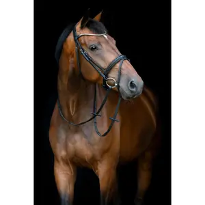 Σέσουλα ιππασίας με συνδυασμένη μασέλα HorseGuard Emi 26.1 image-1