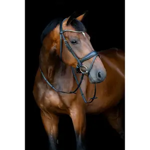 Combined riding bridle and noseband HorseGuard Cryll 26.1 W/PB image-1