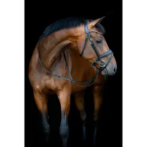 Combined riding bridle and noseband HorseGuard Cryll 26.1 W/PB image-2