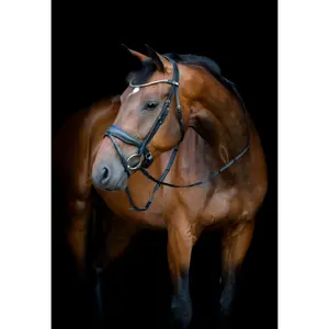 Combined riding bridle and noseband HorseGuard Cryll 26.1 W/PB image-3