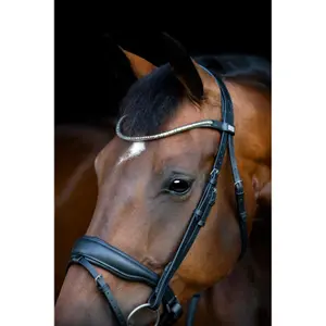 Combined riding bridle and noseband HorseGuard Cryll 26.1 W/PB image-4