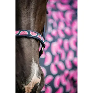 Καπίστρι για άλογο HorseGuard Melona image-4