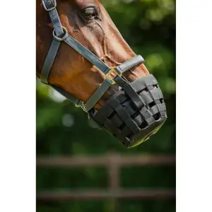 Μουσeliέρα για άλογο βοσκοτόπου με χαλινάρι HorseGuard image-2