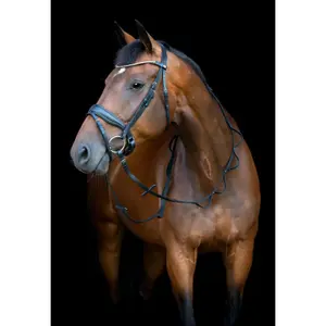 Σχοινιά για άλογο HorseGuard Loop image-1