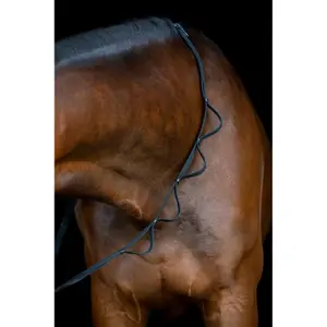 Σχοινιά για άλογο HorseGuard Loop image-2
