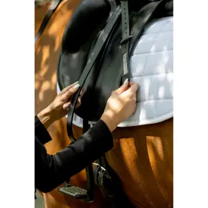Δερμάτινες ιμάντες HorseGuard Glitter image-2