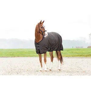 Outdoor horse blanket HorseGuard 600D 400 g image-1
