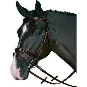 Σαμπρέλες ιππασίας με supergrip HorseGuard image-0