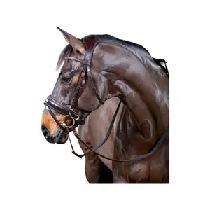 Zaumzeug Reiten HorseGuard Ergo image-0