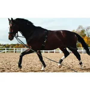 Cordão de montaria HorseGuard System image-0