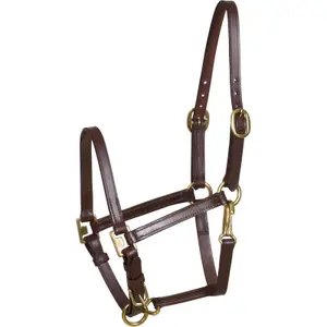 Halster voor paarden HorseGuard image-0