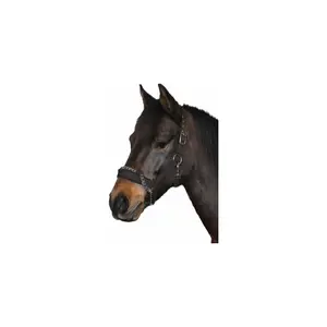 Horse halter with chain HorseGuard image-1