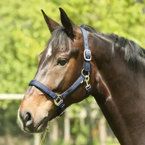 Cabresto para cavalos HorseGuard Lea image-0